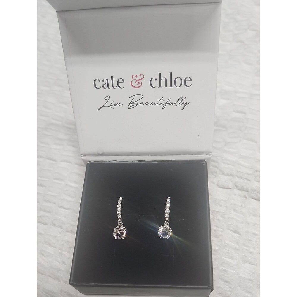 Cate & Chloe Silver Drop Earrings with Crystals